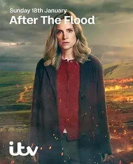 洪水之后第二季 - 欧美剧 (2026) 海报