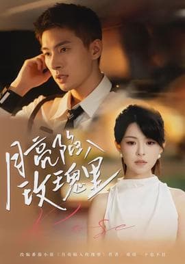 月亮陷入玫瑰里 - 现代都市 (2026) 海报