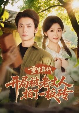 重生年代开局被老丈人拍了一板砖 - 年代穿越 (2026) 海报