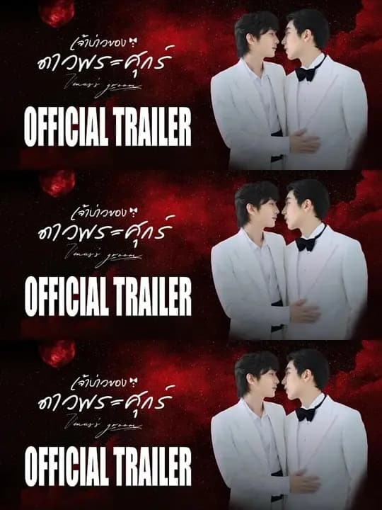 维纳斯的新郎 - 泰剧 (2026) 海报