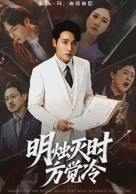 明烛灭时方觉冷 - 现代都市 (2026) 海报