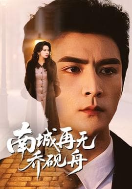 南城再无乔砚舟 - 现代都市 (2026) 海报