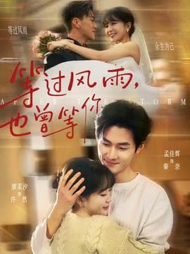 等过风雨，也曾等你 - 女频恋爱 (2026) 海报