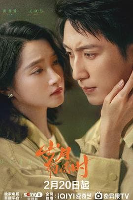 岁月有情时 - 国产剧 (2026) 海报