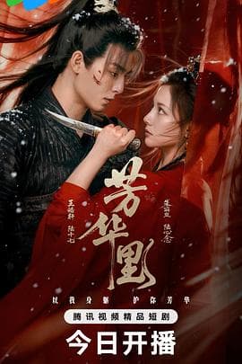 芳华里 - 国产剧 (2026) 海报