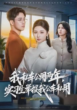 我私车公用两年，实习生举报我公车私用 - 现代都市 (2026) 海报