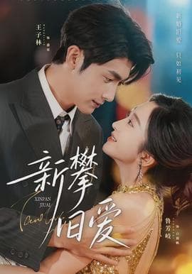 新攀旧爱 - 女频恋爱 (2026) 海报