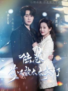 陆总，你又被太太算计了 - 现代都市 (2026) 海报