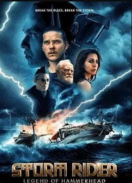 风暴骑士：锤头鲨的传说 - 科幻片 (2026) 海报
