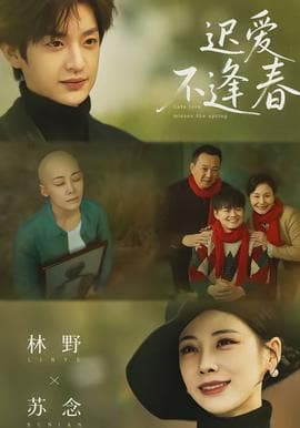 迟爱不逢春 - 现代都市 (2026) 海报