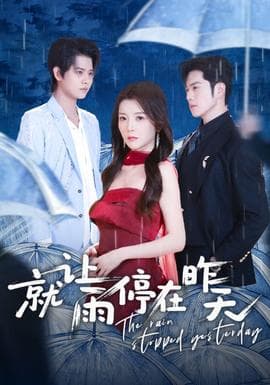 就让雨停在昨天 - 现代都市 (2026) 海报
