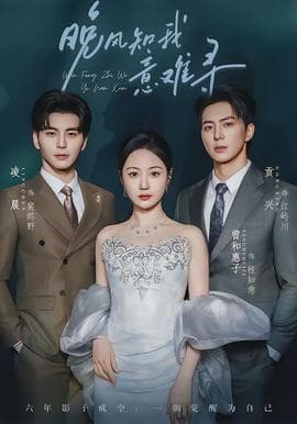 晚风知我意难寻 - 现代都市 (2026) 海报