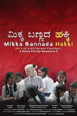 异羽之鸟 - 喜剧片 (2024) 海报