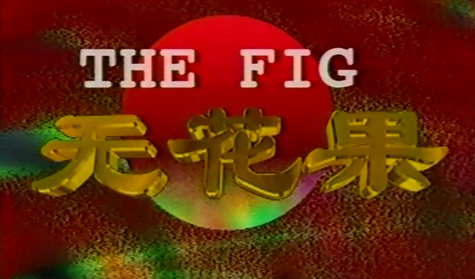 无花果1996 -  海报