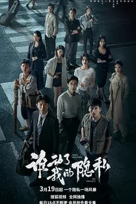 谁动了我的隐私 - 国产剧 (2026) 海报