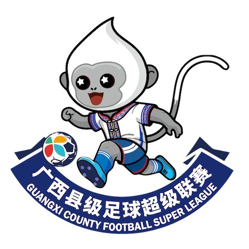 广西县级足球超级联赛 北海市合浦县队1-0钦州市钦北区队20260315 - 足球 海报