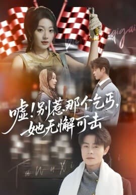 嘘！别惹那个乞丐，她无懈可击 -  海报