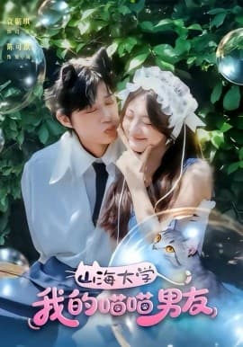 山海大学我的喵喵男友 - 短剧 海报