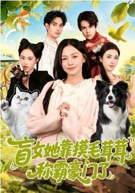 盲女她靠摸毛茸茸称霸豪门了 -  海报