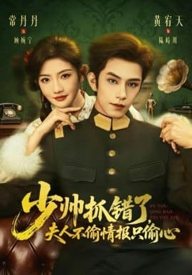 少帅抓错了，夫人不偷情报只偷心 - 短剧 海报