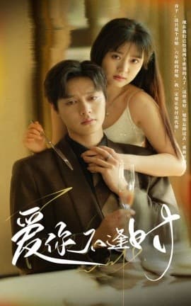 爱你不逢时 - 短剧 海报