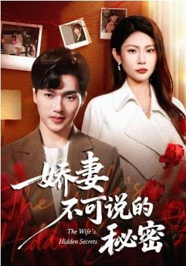 娇妻不可说的秘密 -  海报