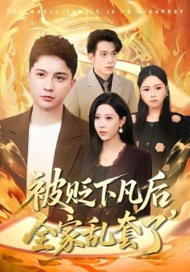 被贬下凡后全家乱套了 -  海报