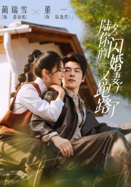 陆少，你的闪婚妻子又跑路了 -  海报