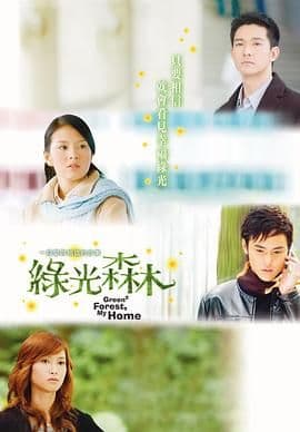绿光森林 - 台湾剧 (2005) 海报