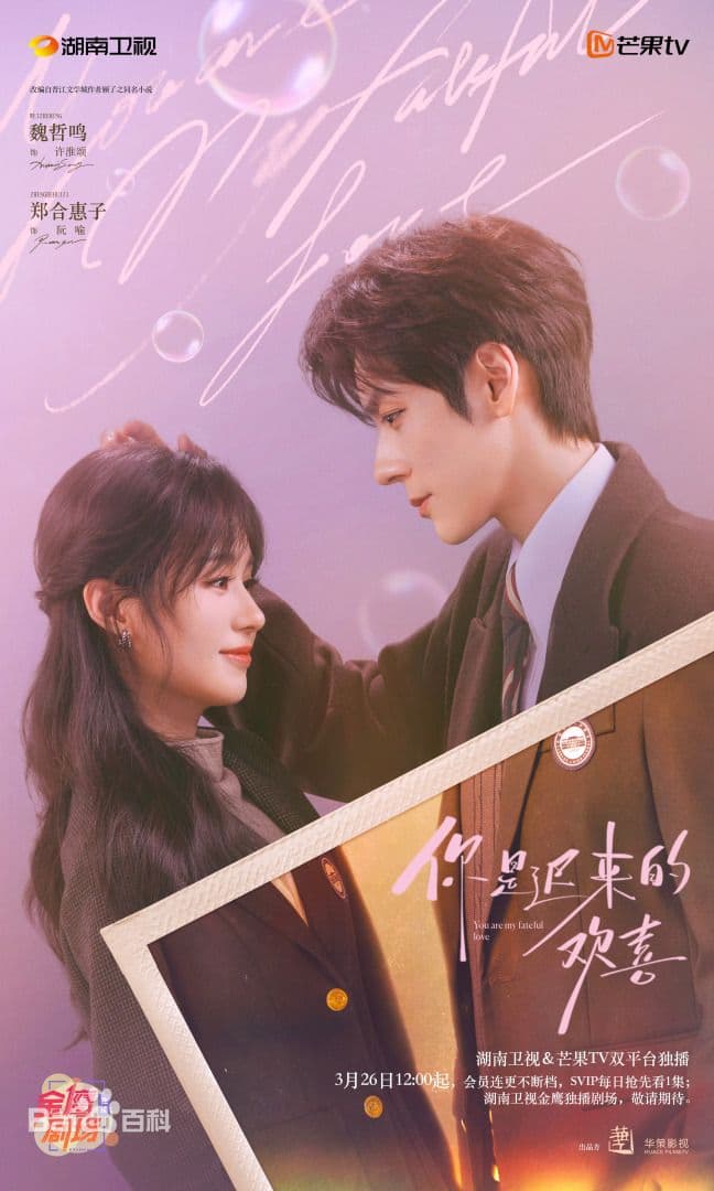 你是迟来的欢喜(2026) - 国产剧 (2026) 海报