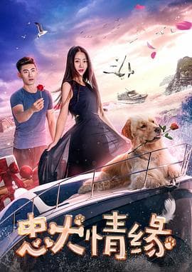 忠犬情缘 - 剧情片 (2017) 海报