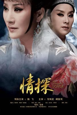 情探 - 剧情片 (2017) 海报