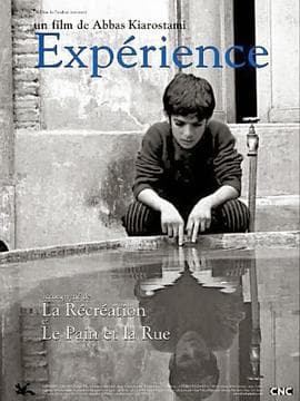 体验1973 - 剧情片 (1973) 海报