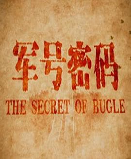 军号密码 - 剧情片 (2016) 海报