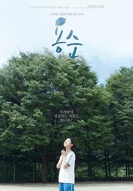 容顺 - 剧情片 (2016) 海报