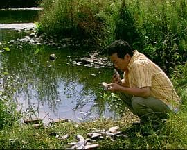 来福,来福 - 剧情片 (2011) 海报