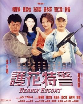 护花特警 - 剧情片 (1999) 海报