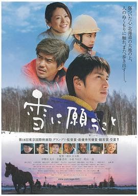 向雪祈祷 - 剧情片 (2005) 海报