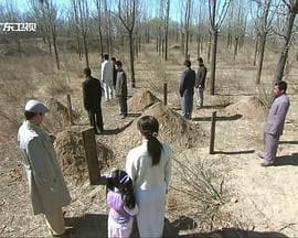 不良英雄 - 剧情片 (0) 海报