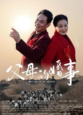 父母的婚事 - 剧情片 (2023) 海报