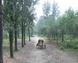 错门记 - 剧情片 (2010) 海报