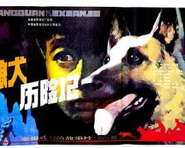 狼犬历险记 - 剧情片 (1985) 海报