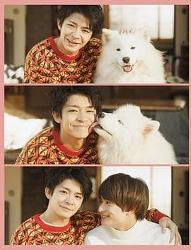 爱你汪汪 - 日剧 (2023) 海报