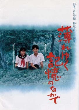 渐渐淡薄的记忆 - 剧情片 (1992) 海报
