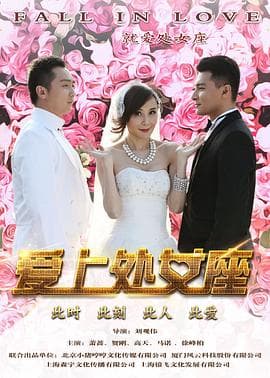 爱上处女座 - 喜剧片 (2016) 海报