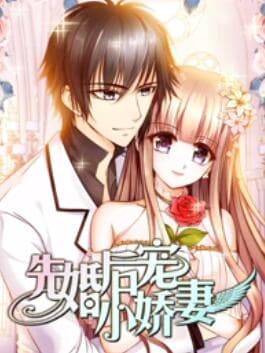 先婚后宠小娇妻第一季 - 国产动漫 (2018) 海报