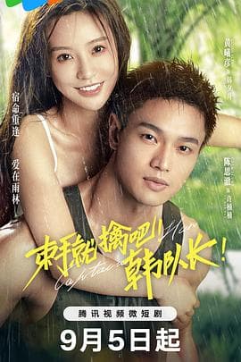 束手就擒吧!韩队长! - 国产剧 (2023) 海报