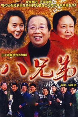 八兄弟 - 国产剧 (2008) 海报