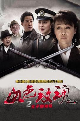 血色玫瑰2之女子别动队 - 国产剧 (2011) 海报