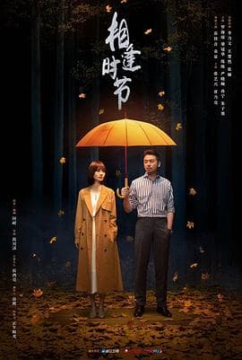 相逢时节 - 国产剧 (2022) 海报